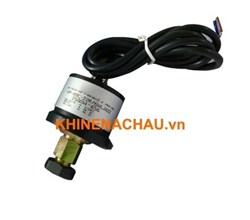 250014-656 CÔNG TẮC BÁO NGHẸT LỌC GIÓ